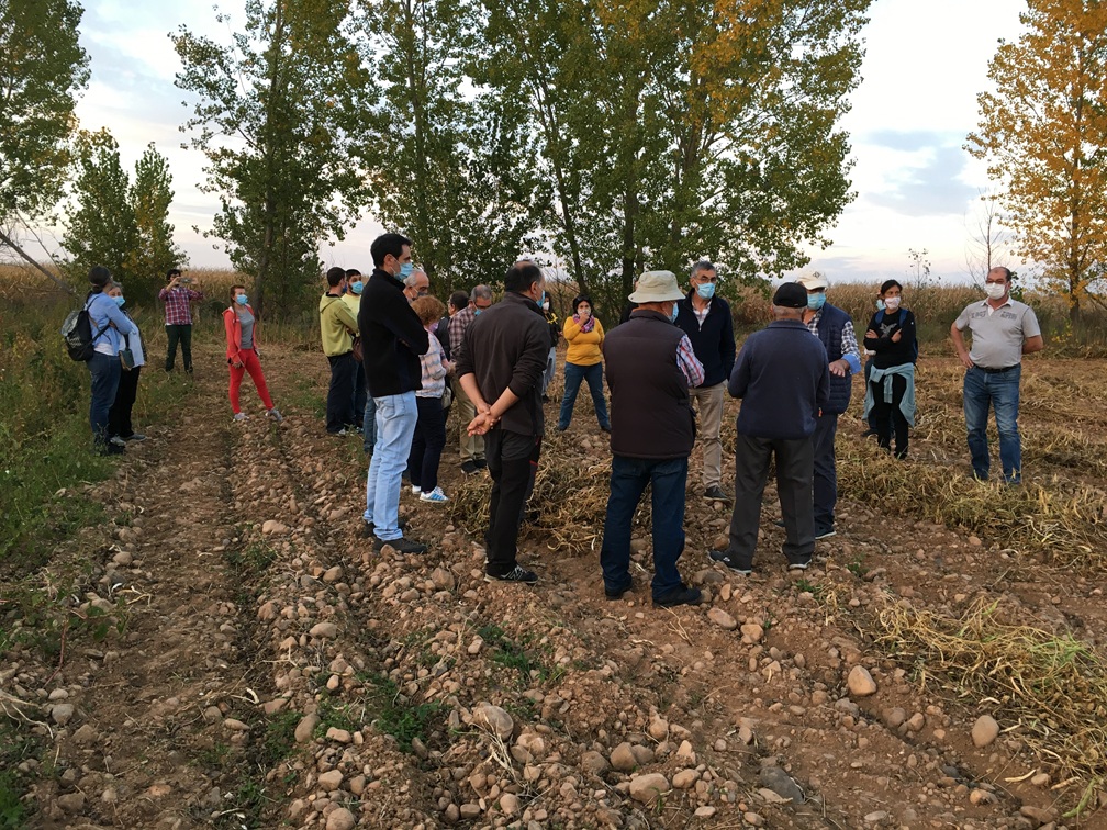 Curso Agricultura 2020